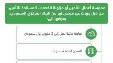 صورة متحدث قطاع التأمين: غرامة 2 مليون ريال والسجن 4 سنوات لممارسي أعمال التأمين بدون ترخيص  أخبار السعودية