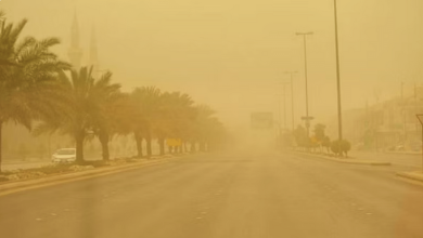 صورة تنبيهات الأرصاد.. رياح وضباب في 4 مناطق خلال الساعات القادمة