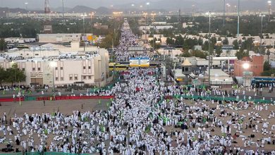 صورة النشرة الدينية| حكم صيام يوم عرفة لمن لم يصم الثمانية أيام قبله.. وأهم أحكام الأضحية