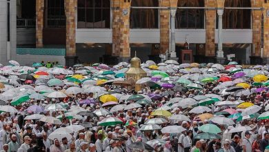 صورة تبنينا 79 مبادرة من أهمها مشروع الملك سلمان للترجمة