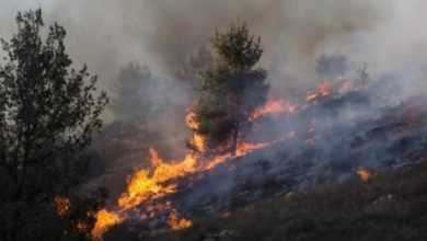 صورة مستوطنون يشعلون النيران في أراض بحوسان غرب بيت لحم