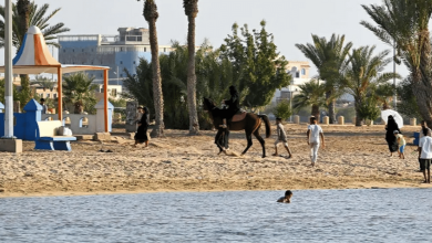 صورة التنوع الجغرافي في أملج يجذب الزوار