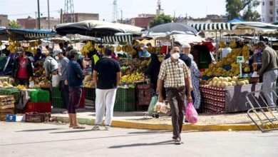 صورة تباطؤ معدل التضخم السنوي الإجمالي خلال يناير إلى 31.2%