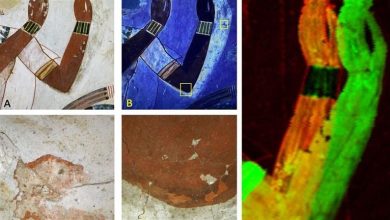صورة بعد أكثر من 3000 عام.. اكتشاف غير متوقع في لوحات المصريين القدماء