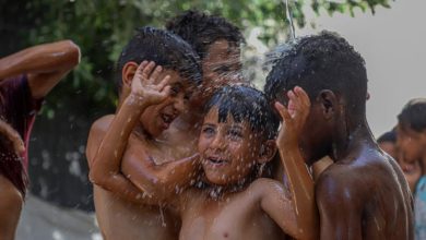 صورة فلسطين: توقعات باشتداد جديد على موجة الحر في هذا الموعد..