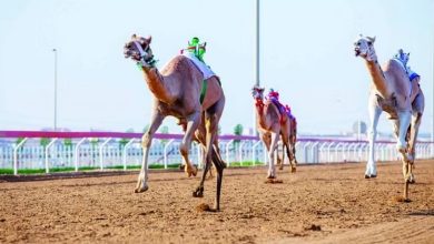 صورة الأسبقية للتسجيل في ترتيب المطايا