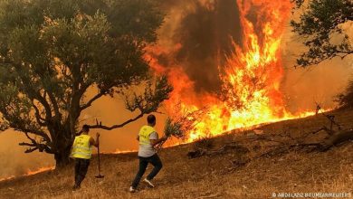 صورة حريق غابات يستعر قرب بلدة شاطئية في جنوب تركيا