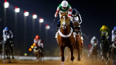 صورة انطلاق مهرجان كأس الملك فيصل لسباقات الخيل السبت المقبل