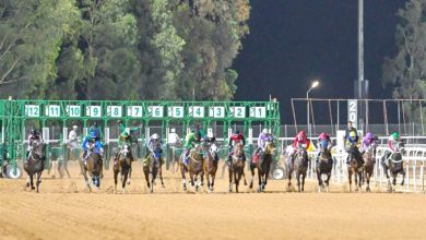 صورة مهرجان كأس الملك فيصل لسباقات الخيل.. السبت القادم  أخبار السعودية