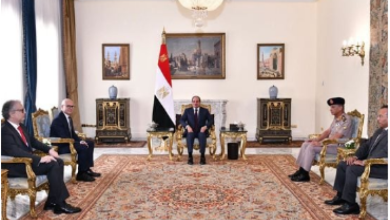 صورة السيسي يستقبل وزير الدفاع الصربي