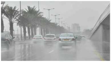صورة رياح شديدة في تبوك وضباب بالمنطقة الشرقية