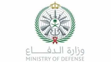 صورة سقوط طائرة مقاتلة من نوع «تورنيدو» أثناء مهمة تدريبية ونجاة طاقمها الجوي