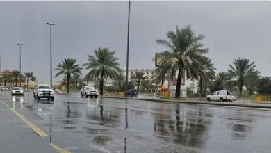 صورة الأمطار الغزيرة تجذب المصطافين في عسير