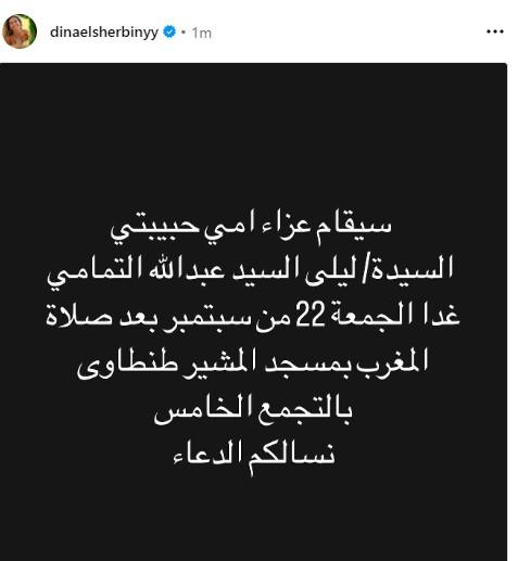 دينا الشربيني