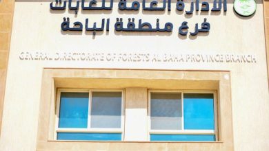 صورة مركز الغطاء النباتي يحوط 66 غابة في الباحة بإطار الاستدامة  أخبار السعودية