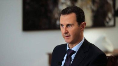 صورة لأول مرة منذ 12 عاماً.. الأسد في الصين (الخميس)  أخبار السعودية