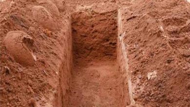 صورة كائنات صغيرة تختبئ في أجسامنا.. ماذا يحدث لجثمان الميت بعد الدفن؟