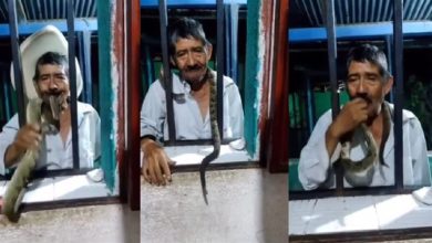 صورة رجل يضع ثعبانا ساما في فمه.. لن تتوقع ما حدث (فيديو)