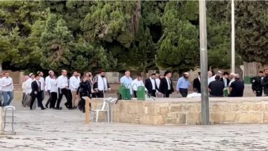 صورة مجلس الأوقاف بالقدس يحذّر: الأقصى في خطر كبير  أخبار السعودية