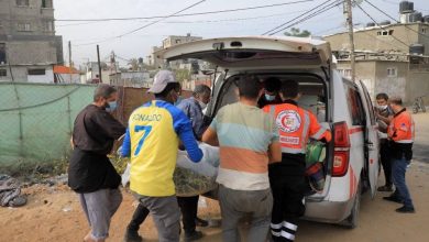 صورة مصر تحذر من اجتياح غزة  أخبار السعودية