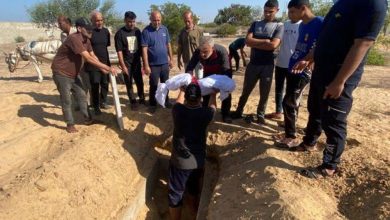 صورة نصف عدد القتلى من الصغار.. أطفال غزة «وقود الحرب»  أخبار السعودية