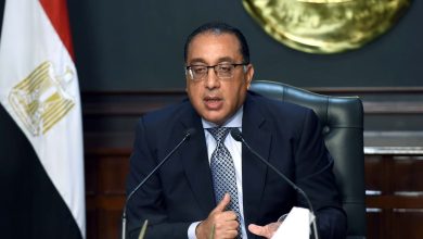 صورة مصر تؤكد الرفض التام والمطلق لتهجير الفلسطينيين من غزة إلى أراضيها