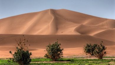 صورة تعادل وزن الهرم الأكبر 350 مرة.. حجم الرمال التي تدخل الغلاف الجوي سنويا