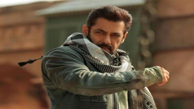 صورة سلمان خان يحذر من استخدام الألعاب النارية خلال عرض فيلمه “Tiger 3” بالسينمات