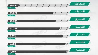 صورة السعودية تتصدر دول الخليج في مبيعات السيارات الصينية لعام 2023  أخبار السعودية