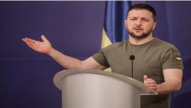 صورة ورطة زيلينسكي.. خطة أمريكية ألمانية لإجبار كييف على التفاوض  أخبار السعودية