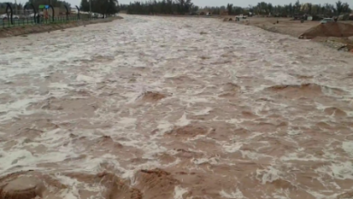 صورة بالفيديو.. تدفق شعيب الحجازية غرب القصيم