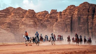 صورة  المملكة تفوز باستضافة بطولة العالم للقدرة والتحمل 2026 