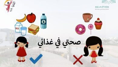 صورة انطلاقًا من بناء جيلٍ مفعمٍ بالصحة والحيوية.. مدرسة 259 الابتدائية تفعّل برنامج «صحتي في غذائي»