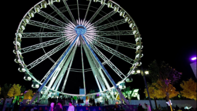 صورة “55M Wheel”.. عين بانورامية على منطقة وندر جاردن بموسم الرياض