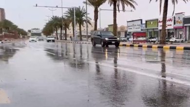 صورة محلل طقس: دفء شتاء هذا العام لا يعني عدم تساقط الثلوج وتسجيل درجات صفرية