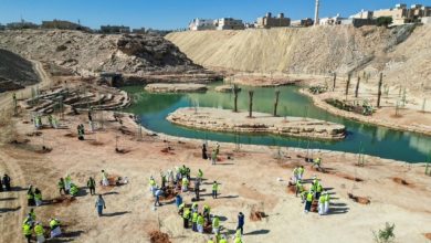 صورة «الرياض الخضراء»: تشجير شعيب غذوانة بمناسبة اليوم السعودي والعالمي للتطوع  أخبار السعودية