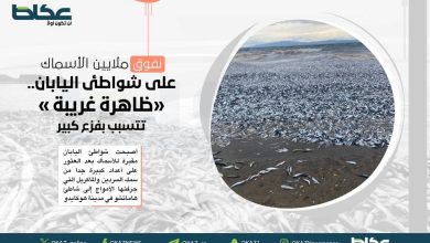 صورة نفوق ملايين الأسماك على شواطئ اليابان.. ظاهرة غريبة تتسبب بفزع كبير  أخبار السعودية