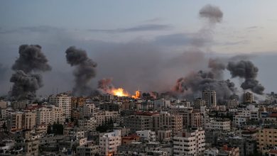صورة 15914 شهيدًا في غزة.. و43 ألف جريح