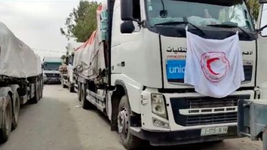 صورة مصر ترسل 80 شاحنة مساعدات مخصصة لغزة إلى معبر ثان أعيد فتحه للتفتيش