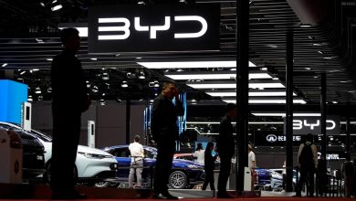 صورة هل وصلت شركة «بي واي دي» إلى نقطة الذروة؟