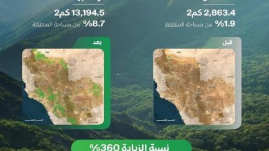 صورة «الغطاء النباتي»: 360% زيادة المساحات الخضراء في منطقة المدينة المنورة خلال 5 أشهر  أخبار السعودية