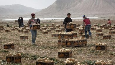 صورة خطة “إسرائيلية” للتخلي عن العمال الفلسطينيين للأبد