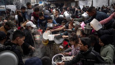 صورة أكلوا طعام الحيوانات..الجوع يفتك بأهل غزة والشمال