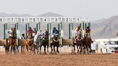 صورة غدًا.. ميدان الفروسية بالمدينة المنورة يقيم الحفل الثالث عشر لسباقات الخيل