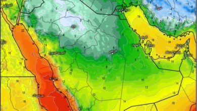 صورة انخفاض تدريجي في درجات الحرارة بدءاً من غد.. وعودة الأجواء الباردة ليلا