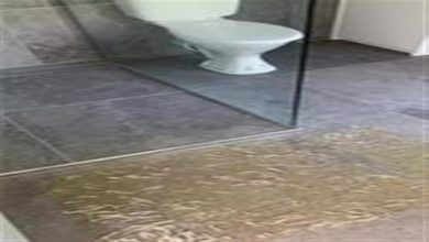 صورة امرأة تعيش لحظات مروعة بعد اكتشافها “المرعب” في منزلها.. لن تتوقع ما حدث