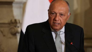 صورة مصر تستنكر عجز مجلس الأمن عن إصدار قرار بوقف إطلاق النار في غزة