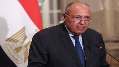 صورة شكري: إخراج النازحين من رفح كارثة تشكل خطرا على أمن مصر القومي