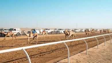 صورة الرياض تستضيف نهائي دوري هجان في الخامس من مارس المقبل