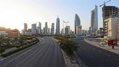 صورة الطيور تسقط ميتة من السماء.. مدينة عربية الأكثر سخونة في العالم